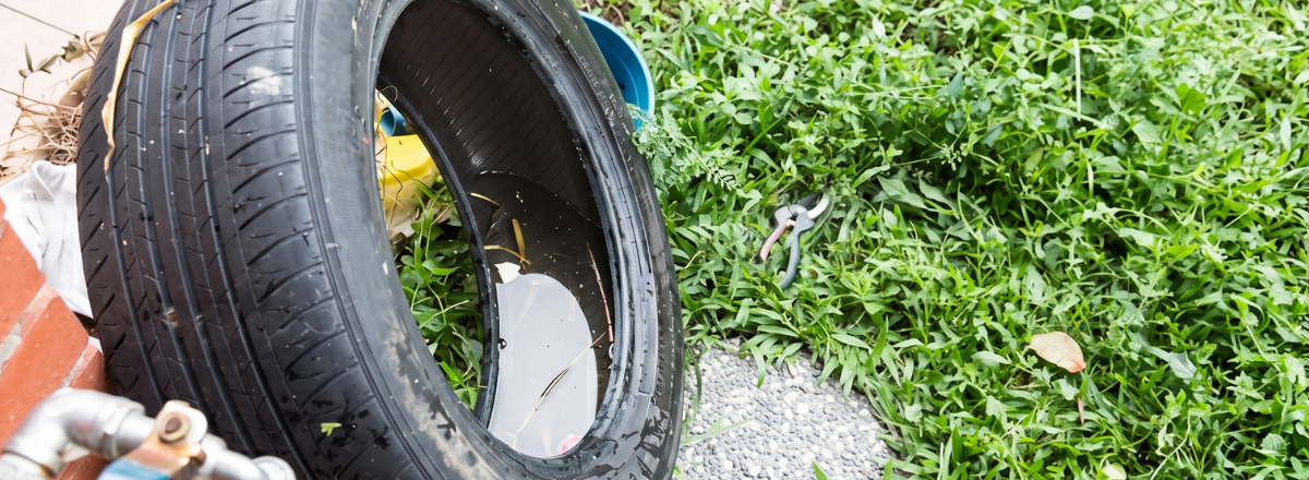 An old black car tire leaning against a brick wall on a patch of grass, holding a pool of stagnant water inside its rim.