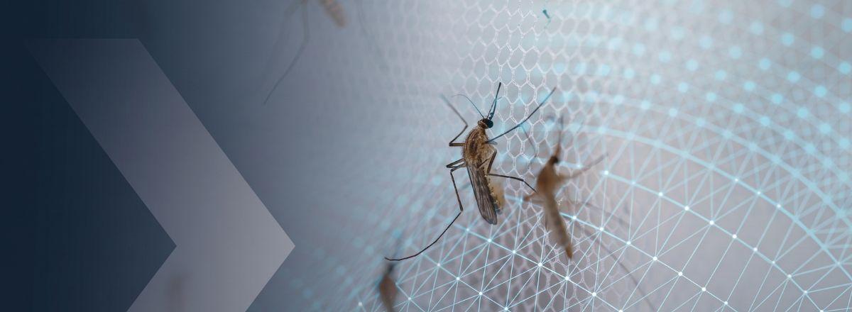 Several mosquitoes are resting on a mesh net with a digital data grid overlay.