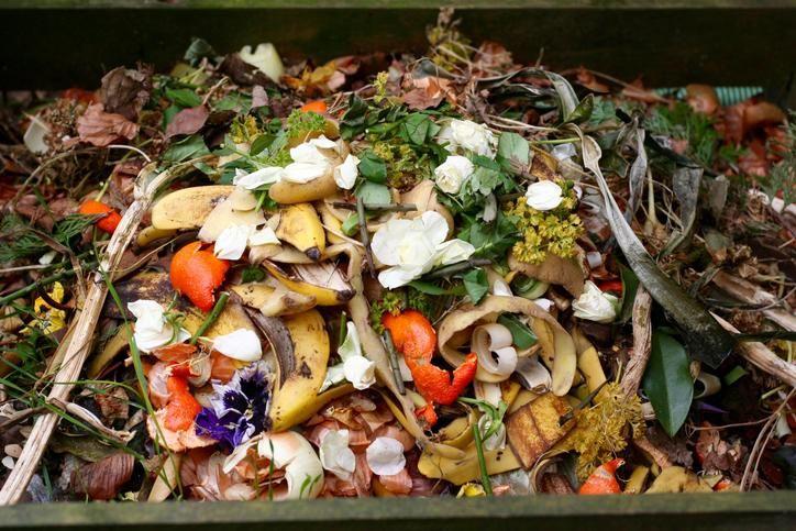 A detailed close-up of a compost bin filled with organic kitchen and garden waste, including banana peels, orange rinds, white flower petals, green leaves, and plant cuttings.