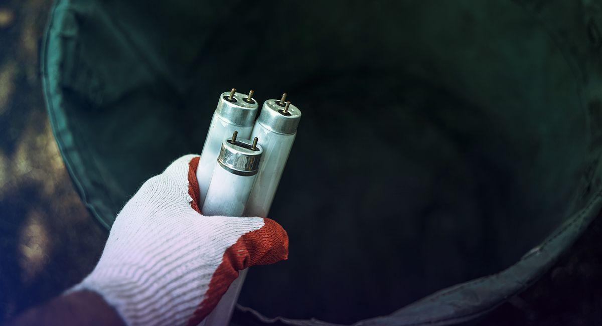 hand holding three fluroescent light tubes