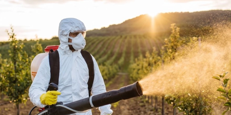 A person in a white hazmat suit, mask, and yellow gloves uses a motorized backpack mist blower to spray a fine mist onto crops in a field during sunrise.